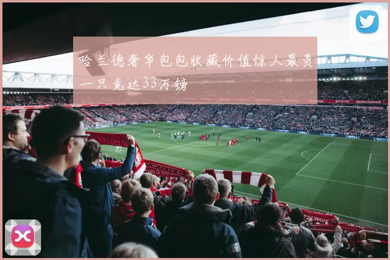 哈兰德奢华包包收藏价值惊人最贵一只竟达33万镑